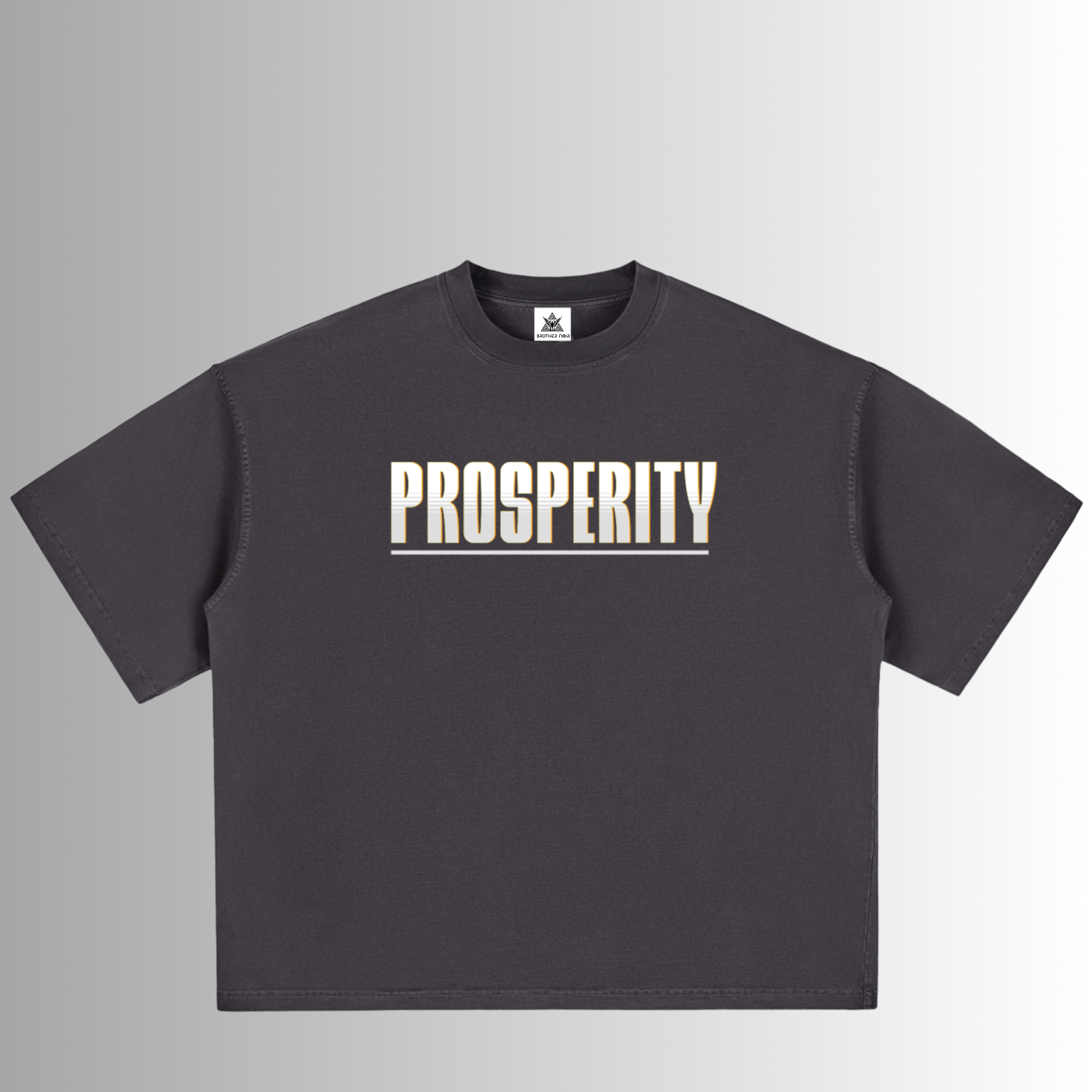 Prosperity Premium Oversized Sleeves Tee