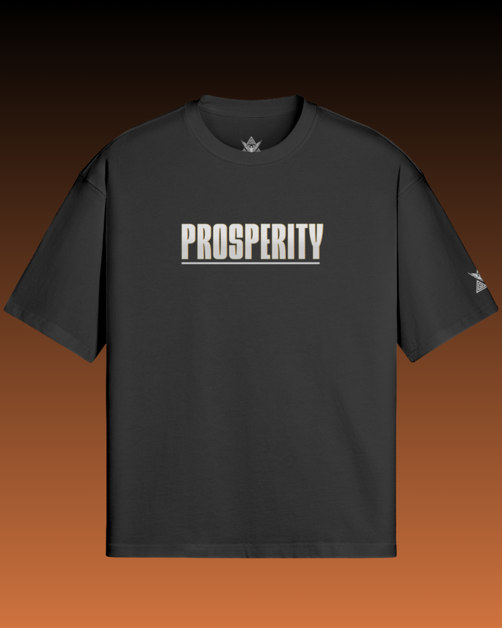 Prosperity Oversized Sleeves Tshirt