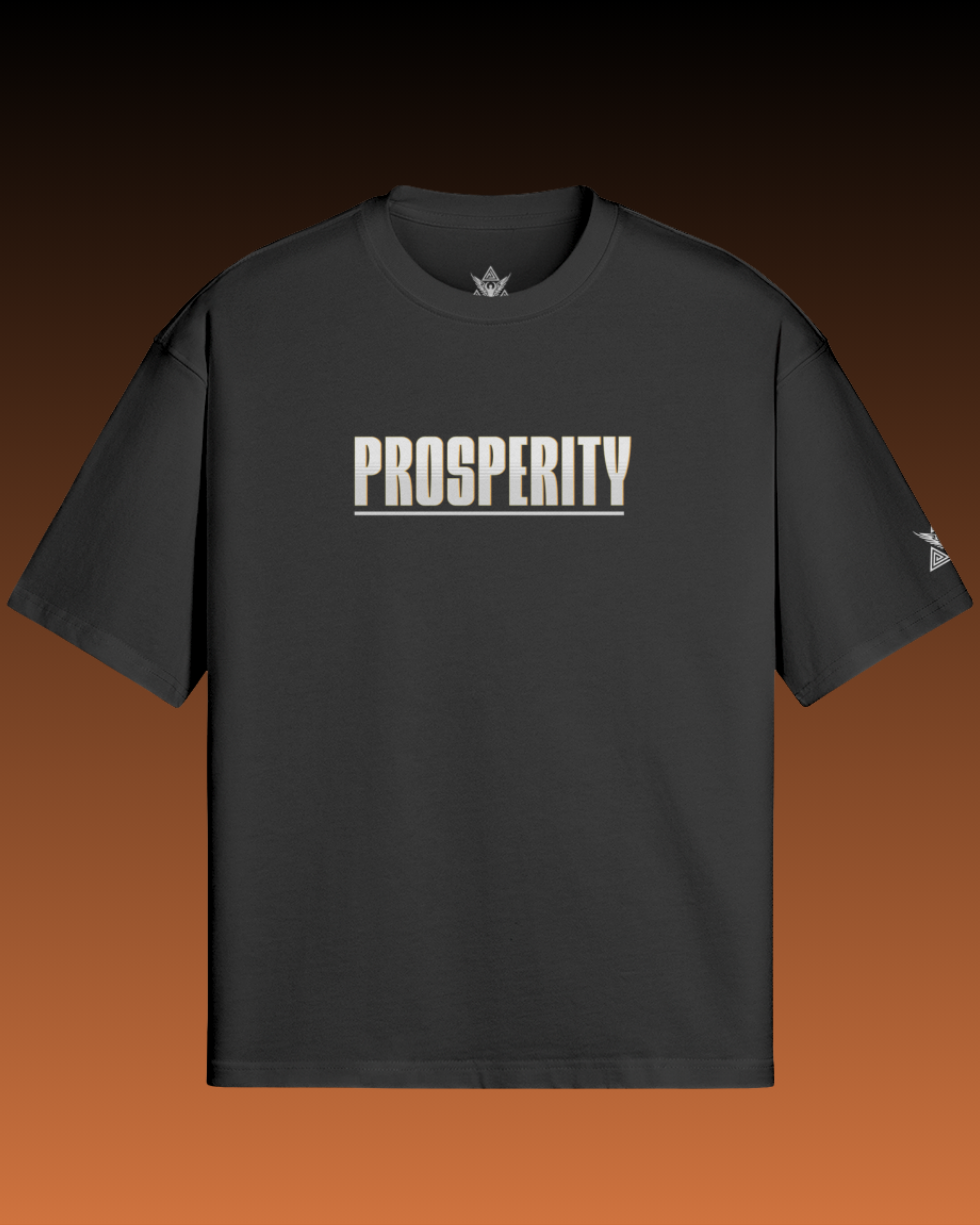 Prosperity Oversized Sleeves Tshirt