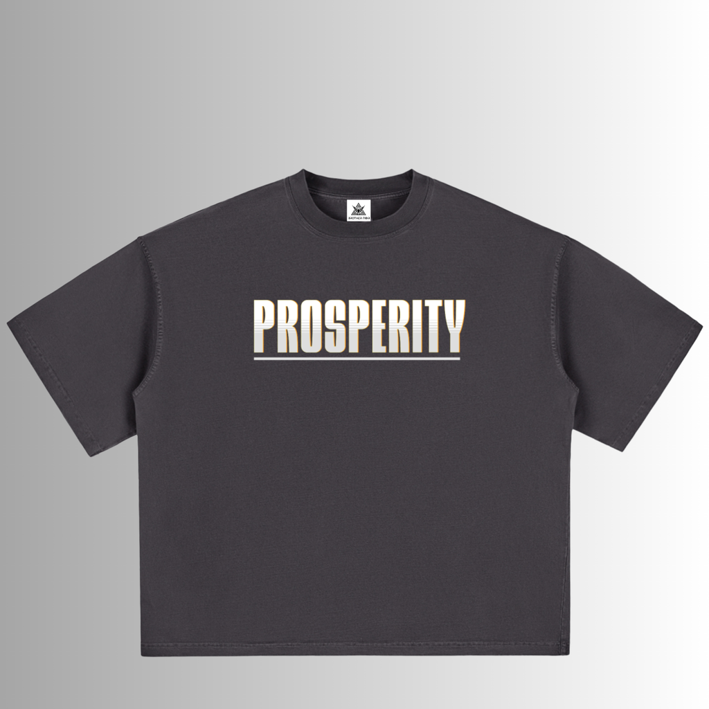 Prosperity Premium Oversized Sleeves Tee